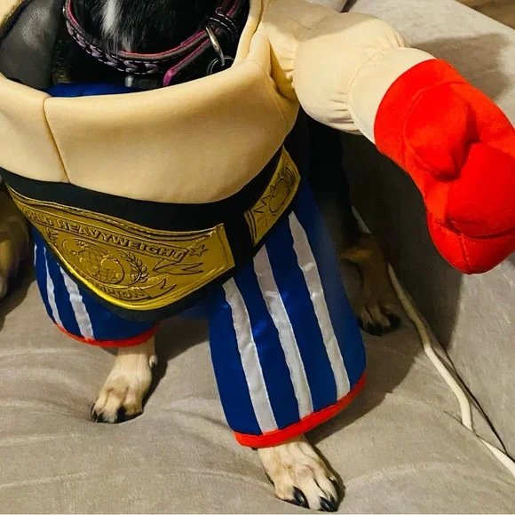 EUC [Halloween Costumes] Pro Boxer + Belt Dog Cat Pet Halloween Costume Sz Small - Picture 4 of 10